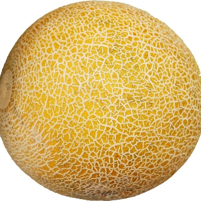 Galia Melon